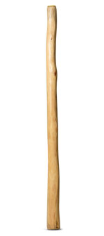 Natural Finish Didgeridoo (TW641)